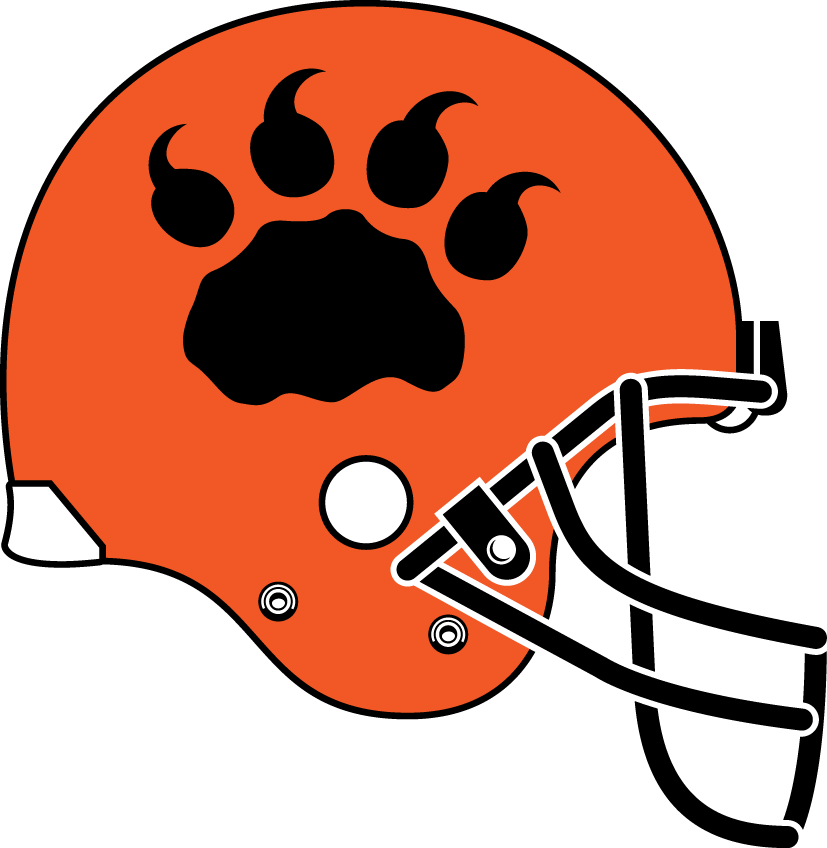 bc lions 2006-2008 helmet logo iron on transfers for T-shirts